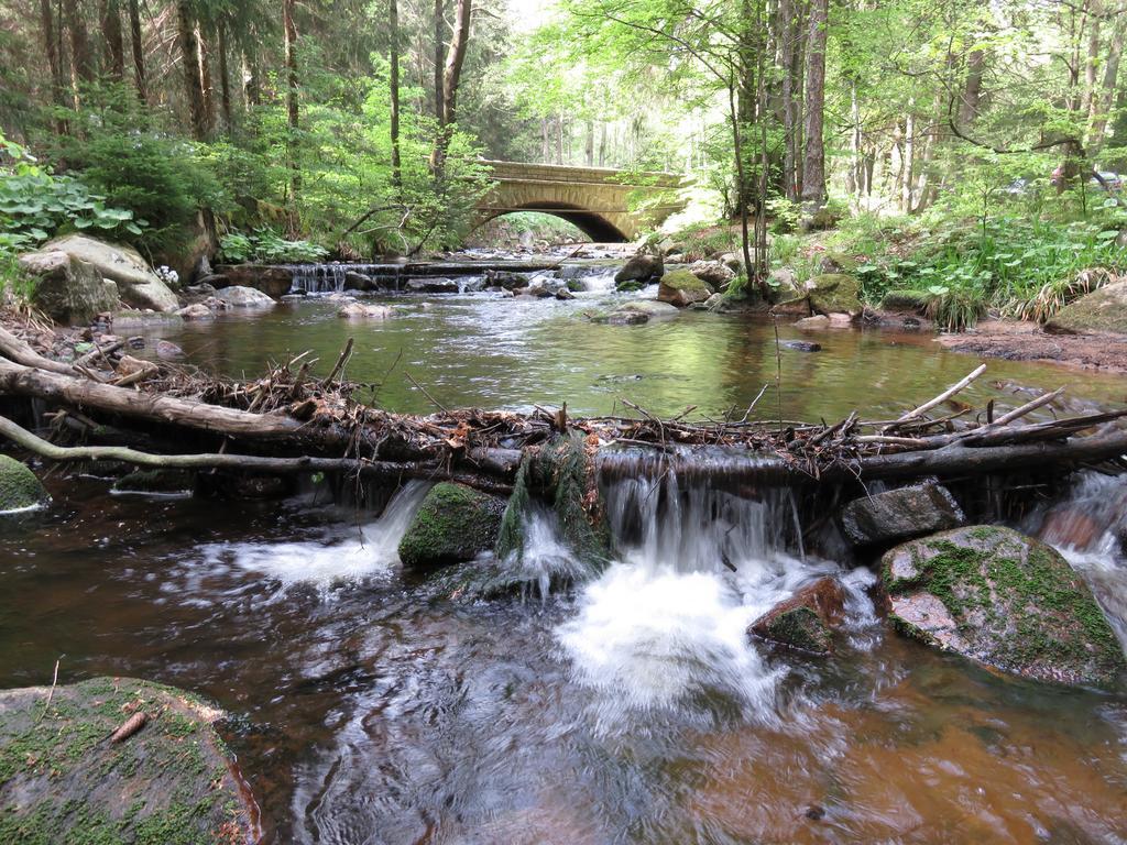Fewo Kruse Am Wurmberg Braunlage Exterior photo